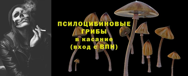 ПСИЛОЦИБИНОВЫЕ ГРИБЫ Балахна